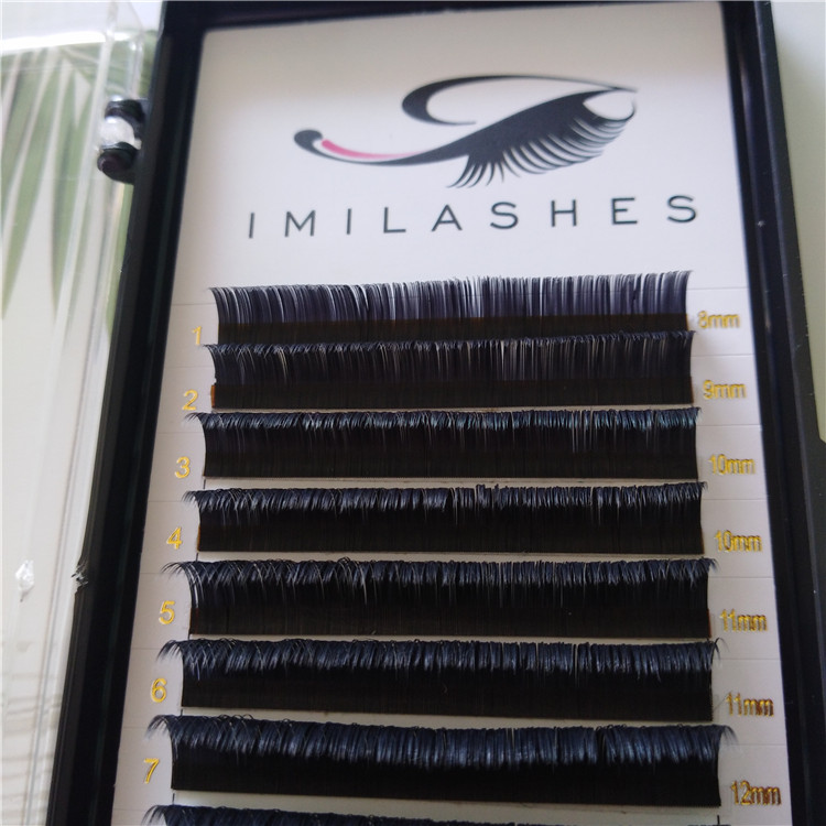 ellipse lash extensions.jpg